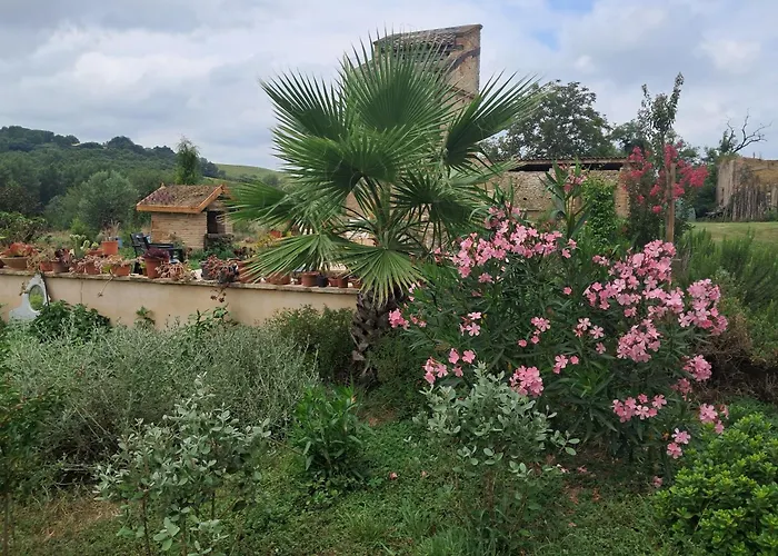 Aux Roses De Cedres Bed & Breakfast