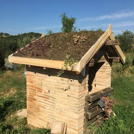 Aux Roses De Cedres B&B