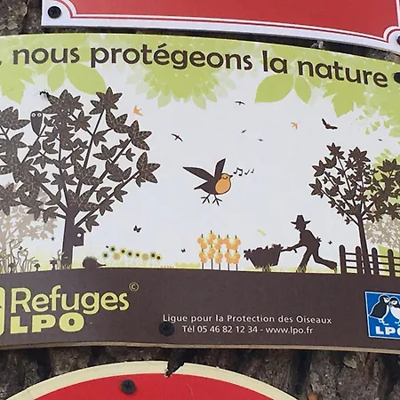 Aux Roses De Cedres B&B Salvagnac