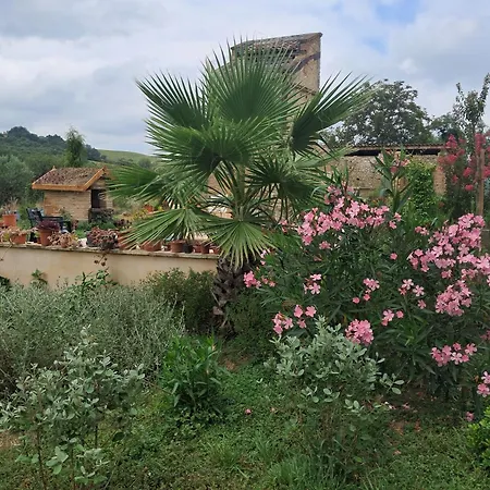 Aux Roses De Cedres B&B
