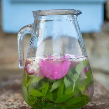 Aux Roses De Cedres Salvagnac