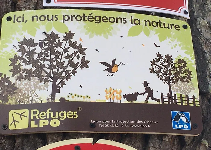 Aux Roses De Cèdres Couette-café Salvagnac