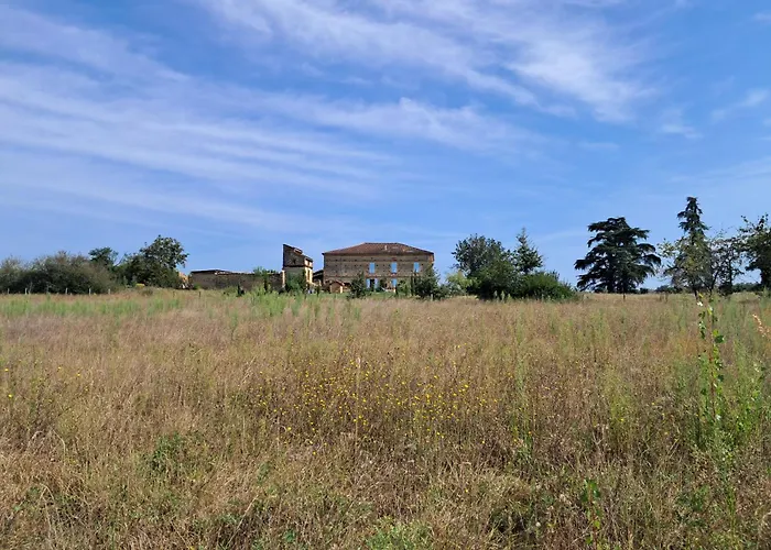 Aux Roses De Cèdres Couette-café Salvagnac