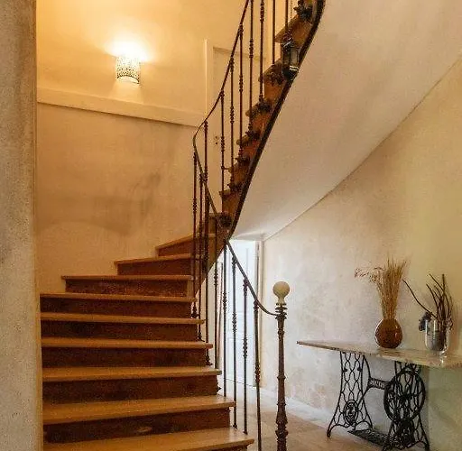 Aux Roses De Cèdres Salvagnac